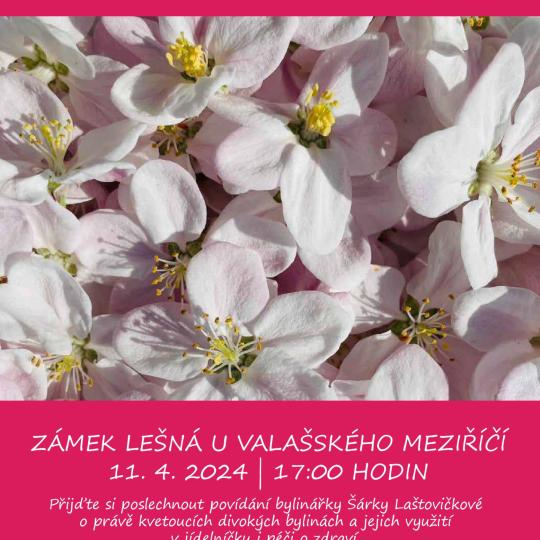 Jaro s bylinkami  Zámek a park Lešná u Valašského Meziříčí  11. 4. 2024 | 17:00 hodin 1