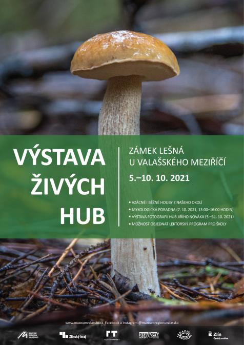 Informace